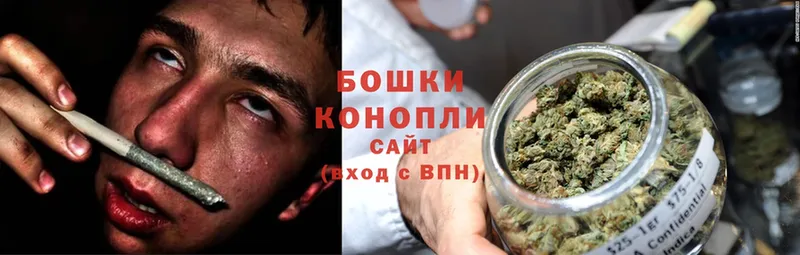 Шишки марихуана Ganja  hydra tor  Северск  купить закладку 